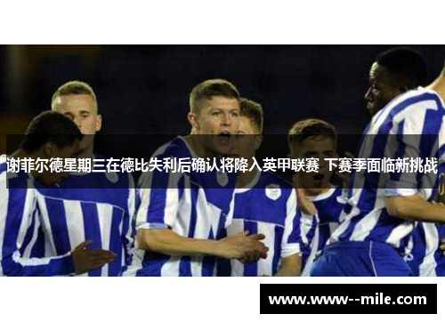 谢菲尔德星期三在德比失利后确认将降入英甲联赛 下赛季面临新挑战