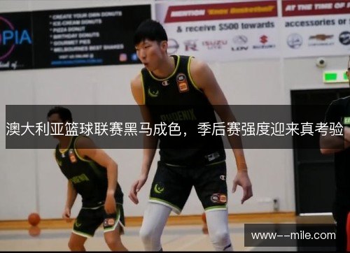 澳大利亚篮球联赛黑马成色，季后赛强度迎来真考验