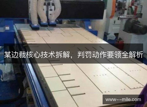 某边裁核心技术拆解，判罚动作要领全解析